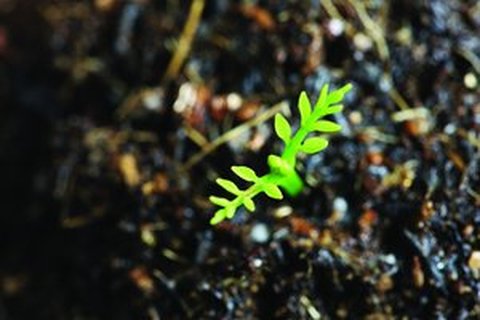 扫地机器人与扫地机建图速度，激光更快更准